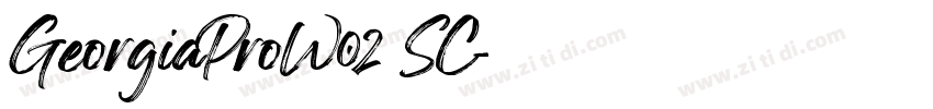 GeorgiaProW02 SC字体转换